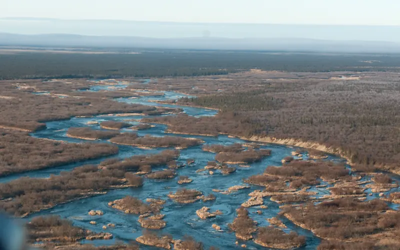 aerial view of braided Alagnak River