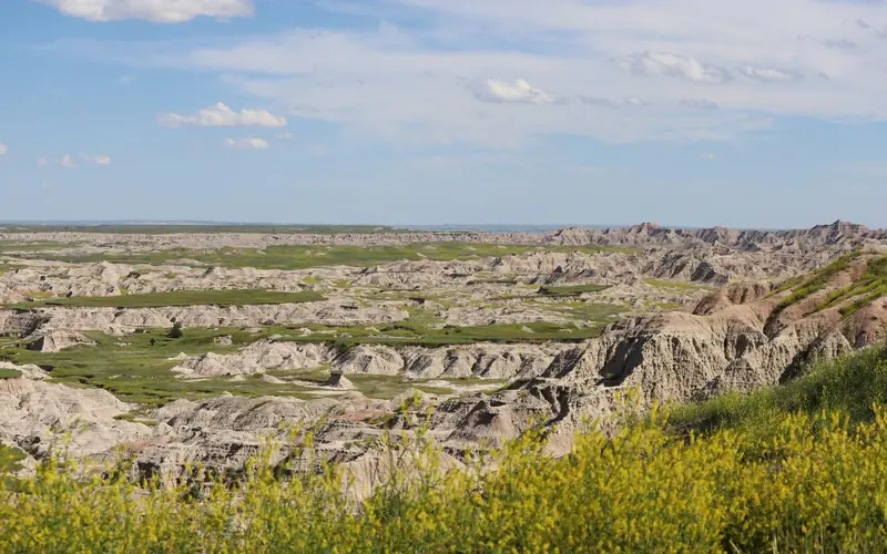 Jagged badlands buttes extended in horizon amid yellow flowers under a blue sky.
