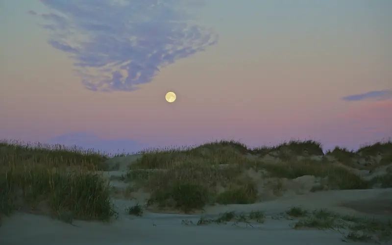 Rolling sand dunes with sparse vegetation with full moon rising above.
