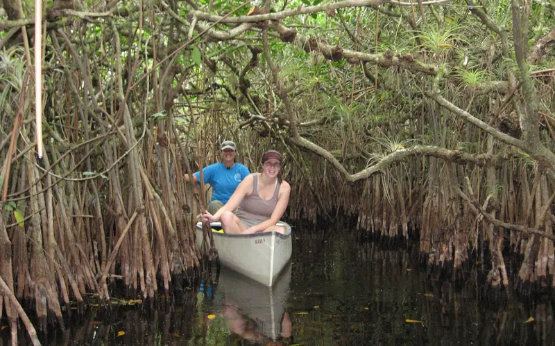 two visitors in a canoe go through mangrove tunnels on the Turner River