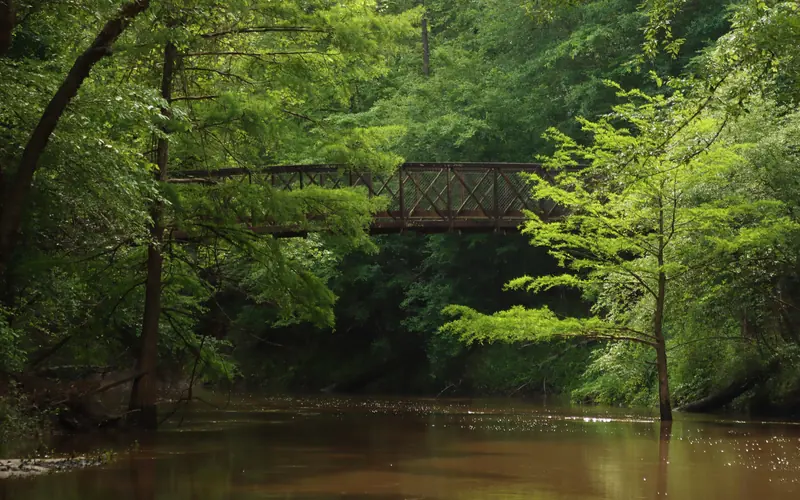 An iron bridge above a murky creek surrounded by dense woods.