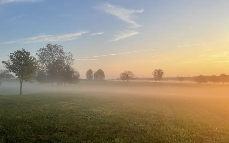 Open fields of green grass with trees during a colorful sunrise.