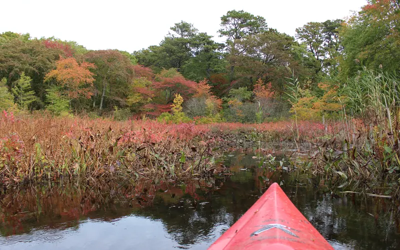 A red kayak floats on a pond facing a forest colored with red and orange leaves.