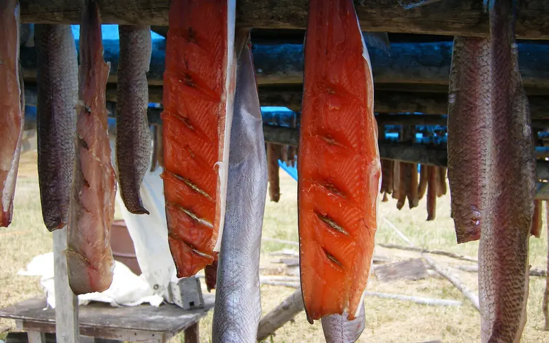 fish hanging on rack