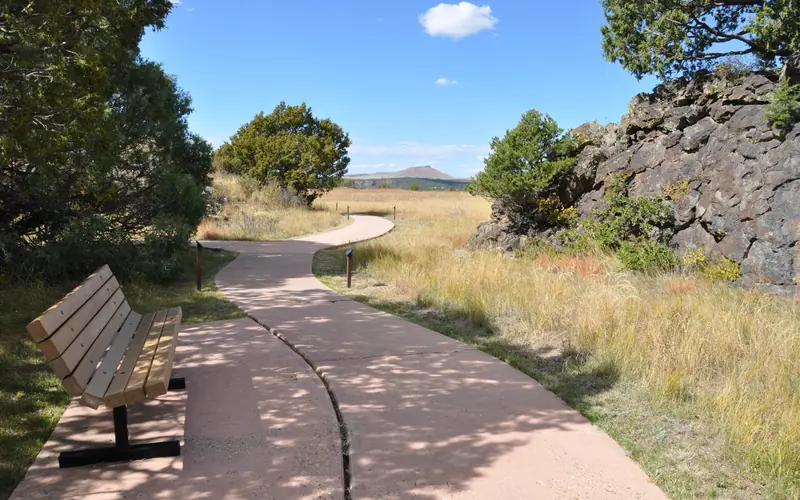 A shaded bench on the side of a paved nature trail wending through juniper trees and grasses.