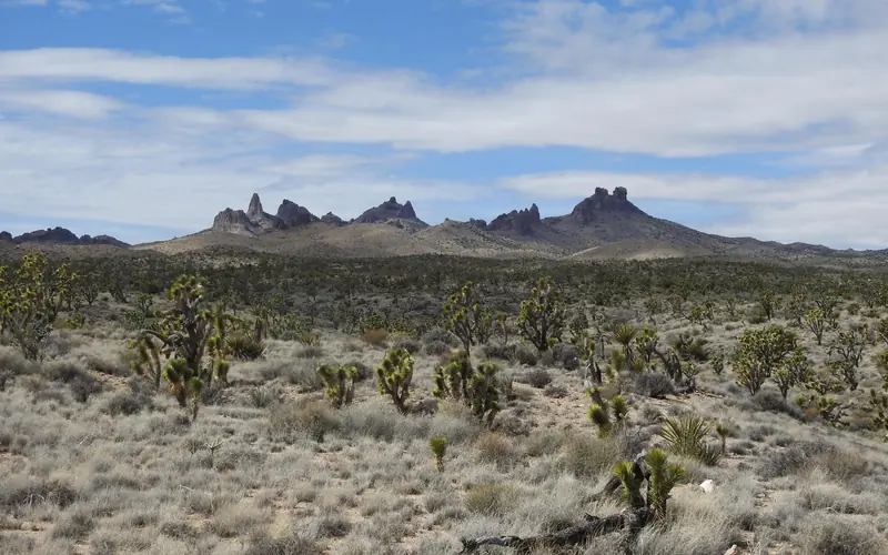 Foreground is desert greenery. The isolated spires of the Castle Peaks rise up in the background