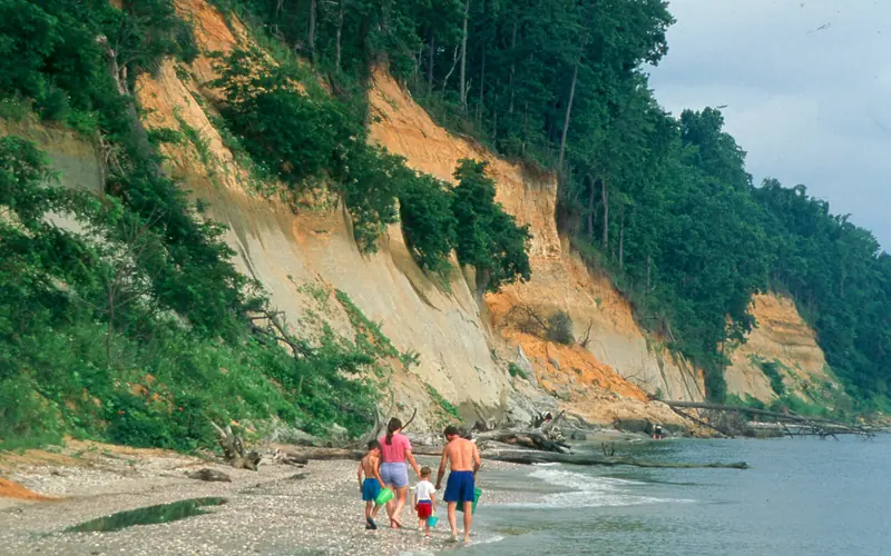 A family walks along the beach searching for fossils at Calvert Cliffs.