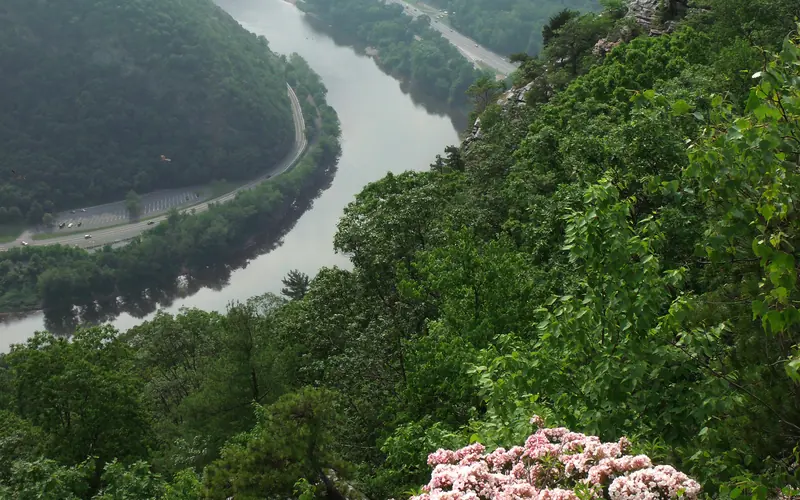 a snaking river view from a mountain top