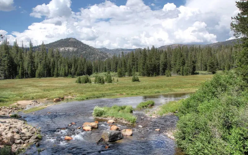 Soda Springs Meadow and San Joaquin River