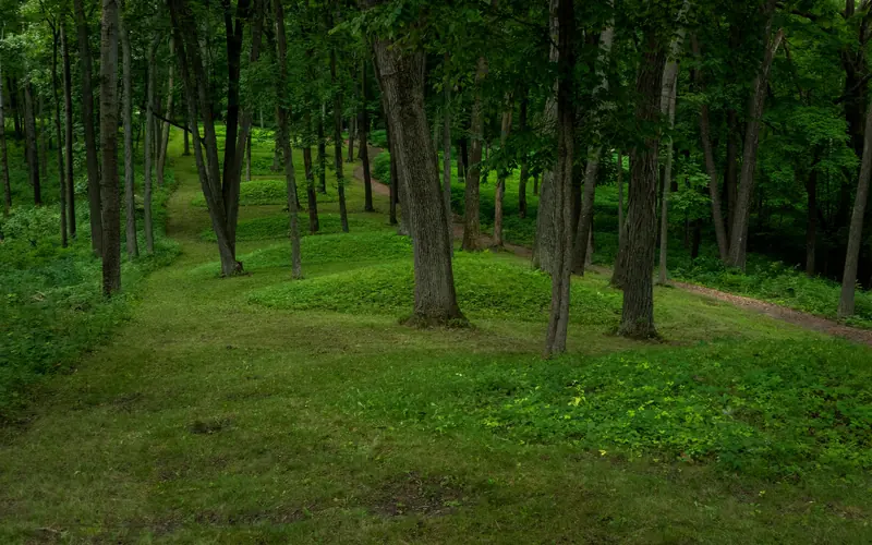 Circular mounds in a single line.