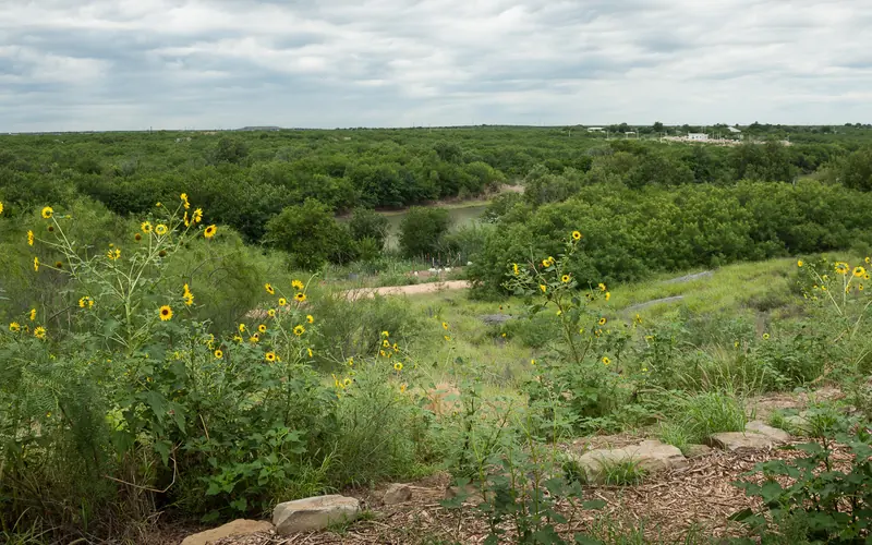 lots of greenery along a river; sunflowers in the foreground