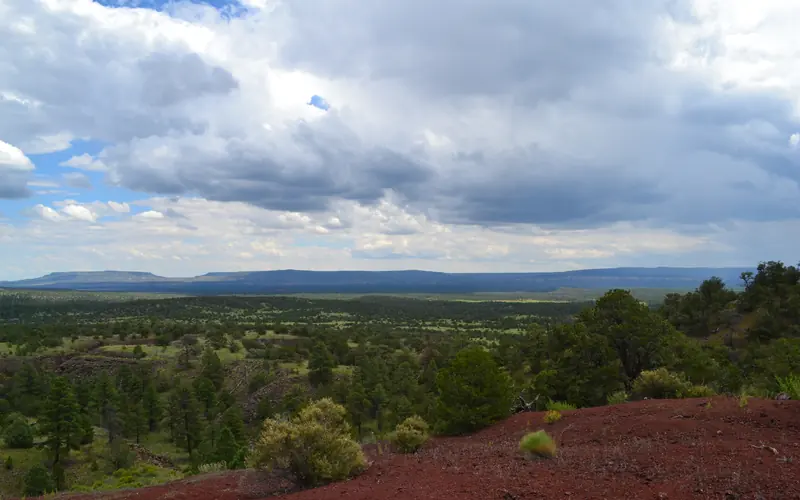 Summer view from El Calderon cinder cone