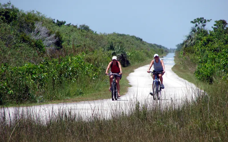 Two visitors bike along the road in Shark Valley.