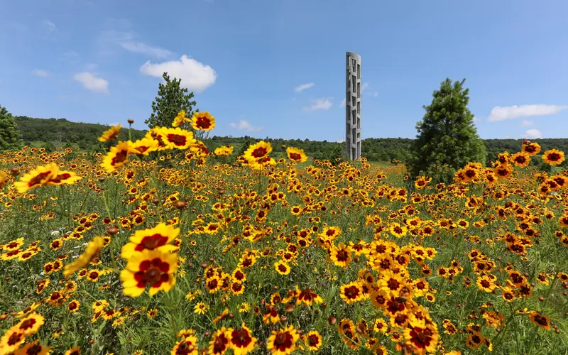 Wildflower and tall grass with the Tower of Voices behind.