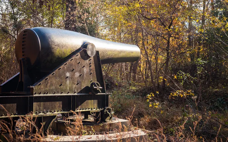 A cannon in front of fall leaves.