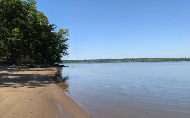 a small sandy beach with trees