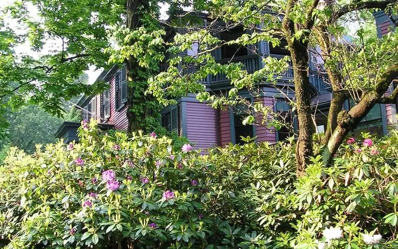 A shaded bench and plants in a sunken garden surrounded by bushes