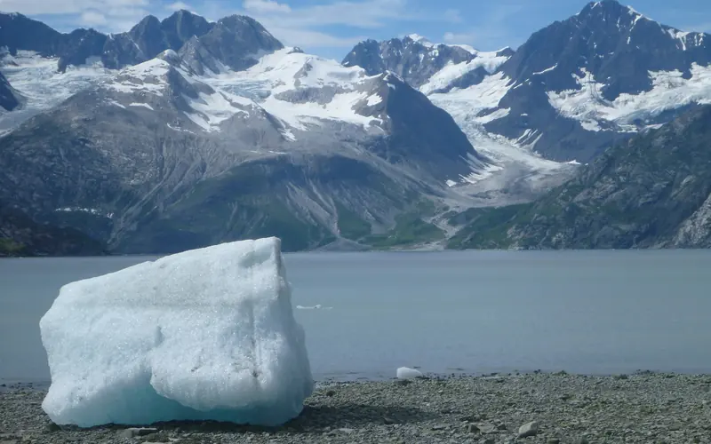 Icebergs, calved from tidewater glaciers are a common sight in Glacier Bay National Park.