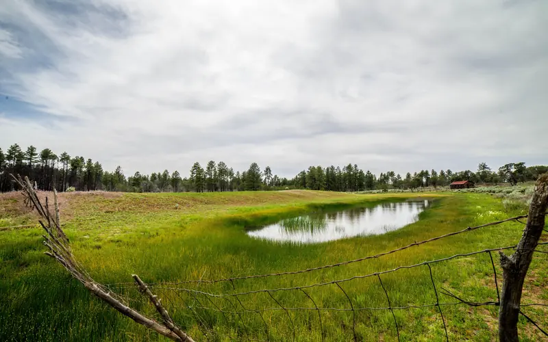Looking across a long narrow stockpond. Green grass slopes towards the water.