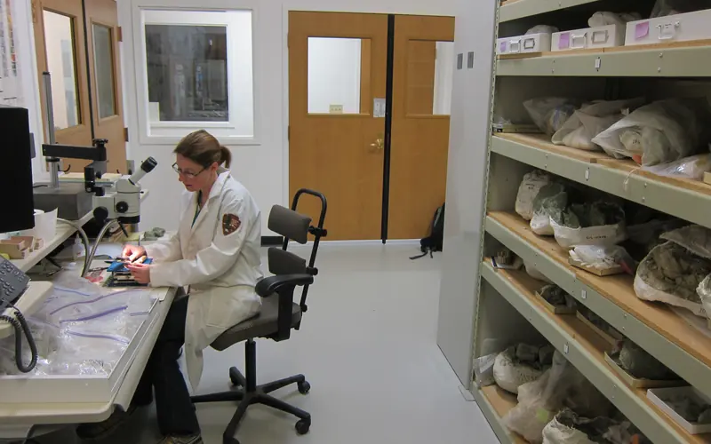 Paleontologist at work