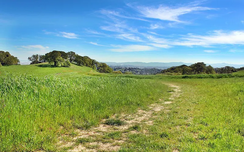 A natural foot path winds its way through hills and trees.