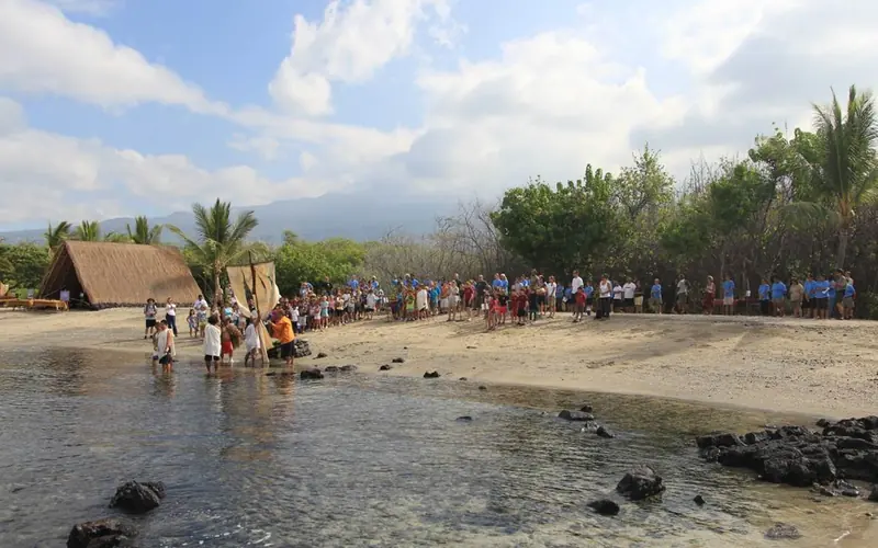Honu (sea turtles) are common on the beach in this area of the park