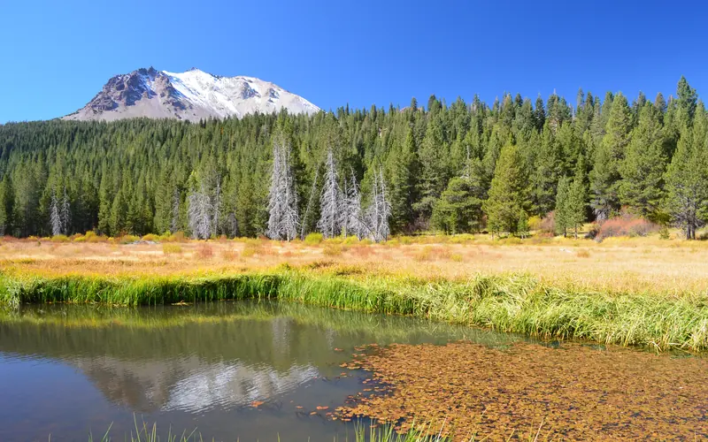 Golden grasses edge a pond reflecting a snow-dusted peak