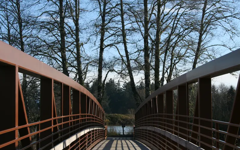 Looking directly down a short railed bridge towards a calm river surrounded by leafless trees.