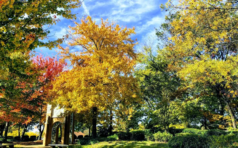 Fall colors in the commemorative garden