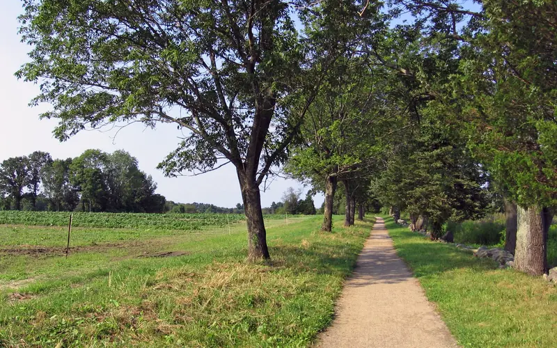 A narrow dirt track runs through green fields shaded by large trees.