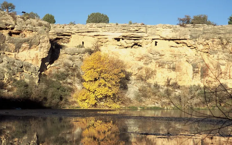 Two cliff dwellings and a tree with yellow leaves above a pond.