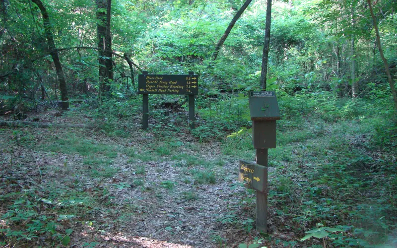 A fork in the trail with directional signs