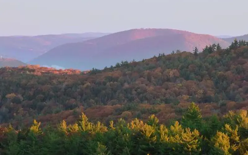 Fall trees on the mountains of the trail