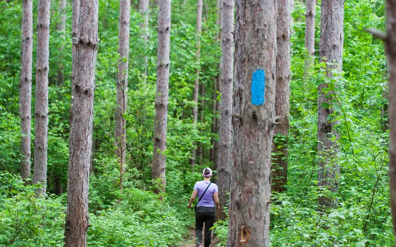 Hiking on the North Country Trail