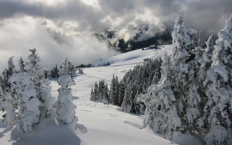 Fresh snow atop the Olympic Mountains.