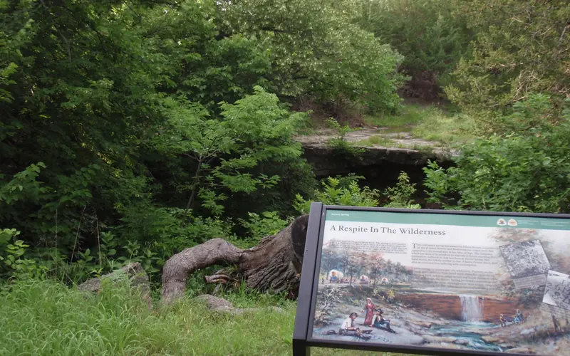 An exhibit with an illustration in front of green trees and a rock ledge.