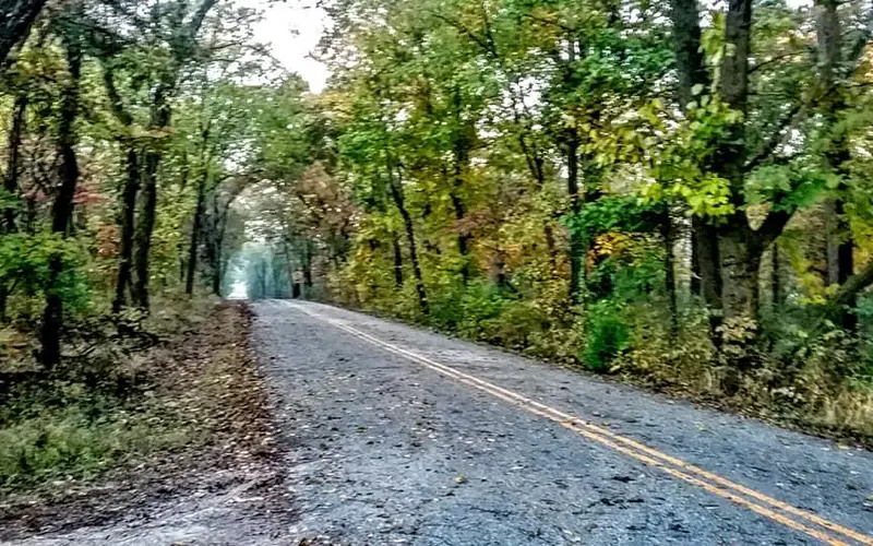 Photo of road with trees on both sides of road. Trees have Fall Foliage
