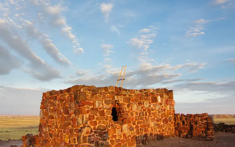 Sunlight highlights the colorful petrified wood of Agate House