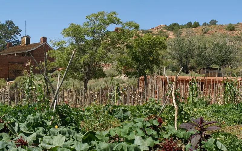 A lush garden filled with settler and native crops grows in front of a sandstone fort
