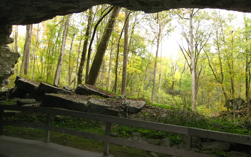 Looking out of the cave shelter