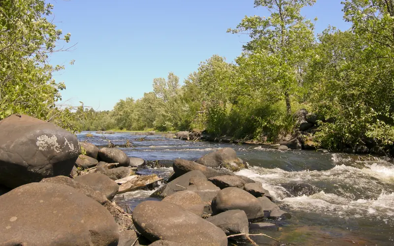 A fast river flows over large rocks in a forested landscape.