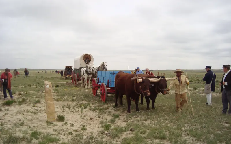 emigrant wagons pulled by oxen and horses cross the prairie with people walking alongside