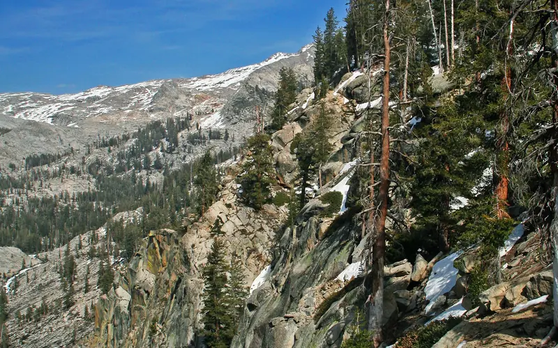 A steep granite slope leads from forest to a bare alpine landscape