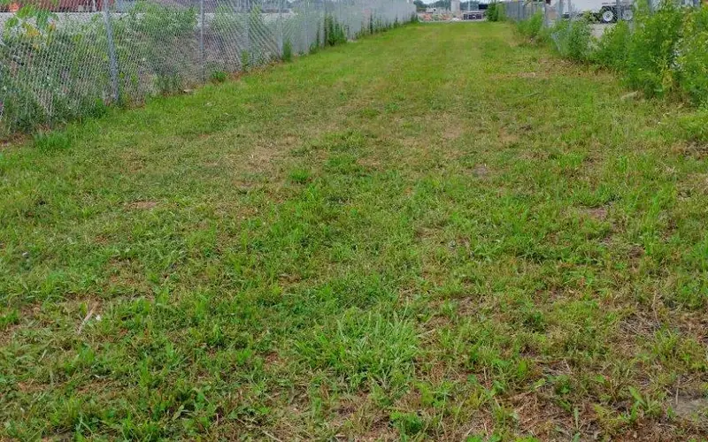 A narrow grassy lot surrounded by fence.