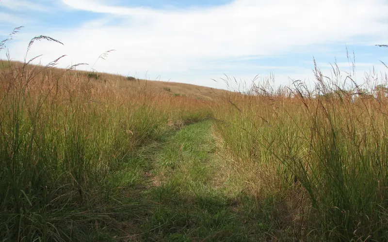 tallgrass hiking trails