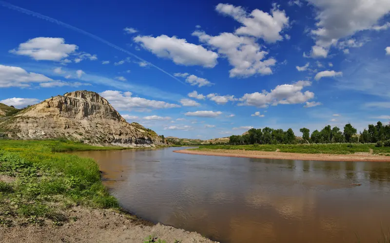 A muddy river bank lined with cottonwood trees and steep buttes