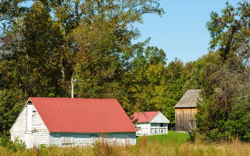 Roof of horse barn with tobacco barn and corn crib in background
