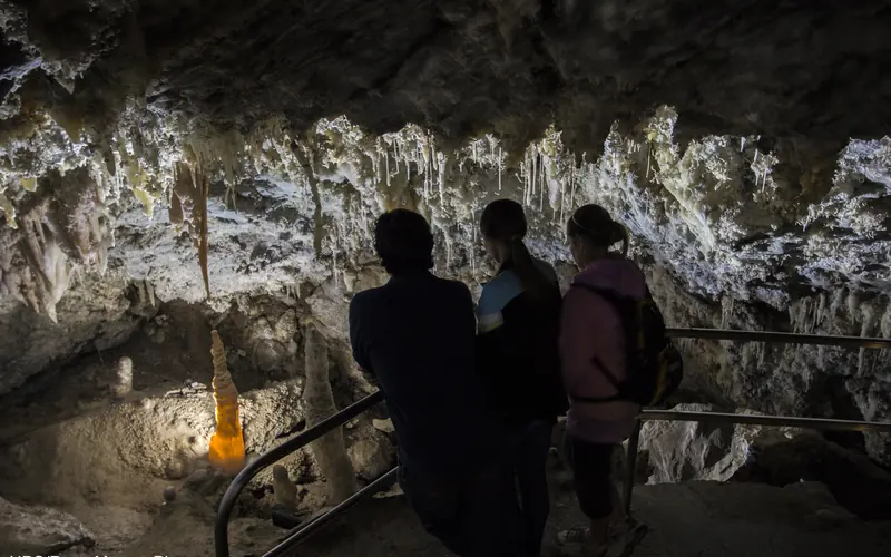 Visitors gaze at delicate cave formations in Timpanogos Cave's Chimes Chamber