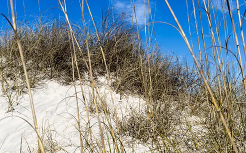 sand dune and blue sky
