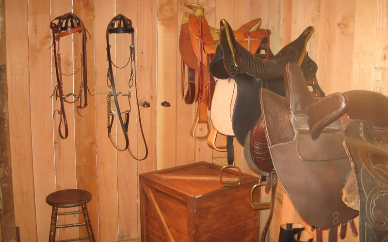 Saddles in tack room